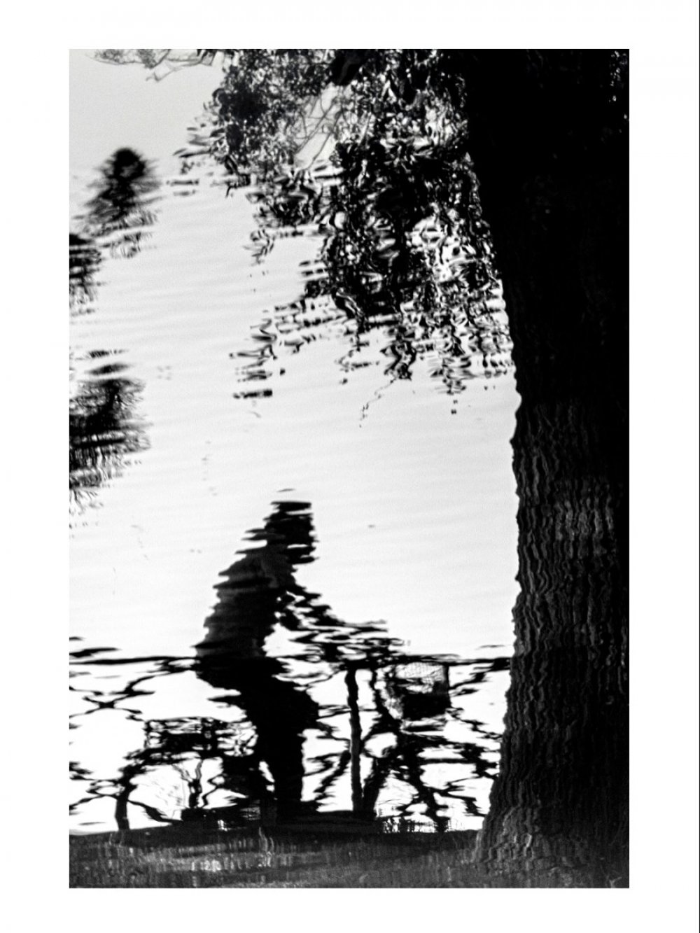 Fotoğraf Ufuk Akçay